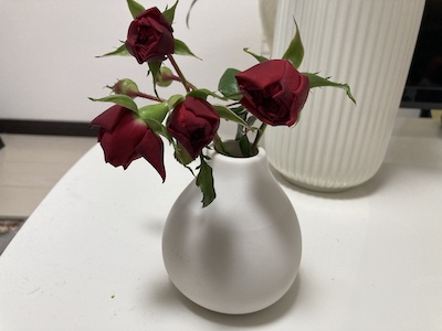 レッドレオナルドダヴィンチの花をカットして花瓶に生ける