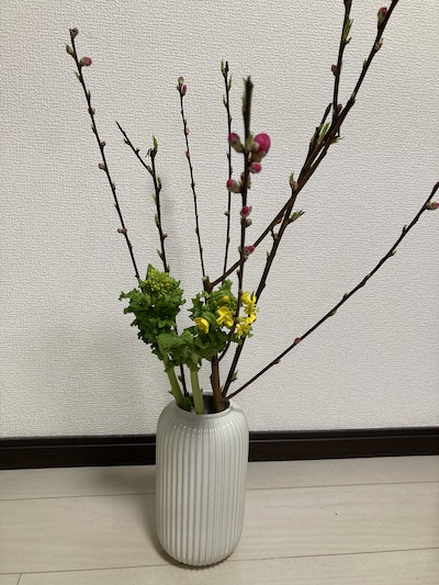花瓶に生けた花桃と菜の花